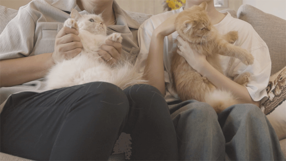 結婚式オープニングムービー制作